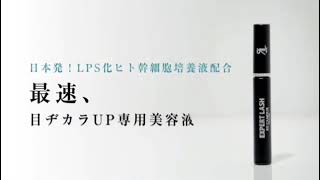 EXPERT LASH | リアムール