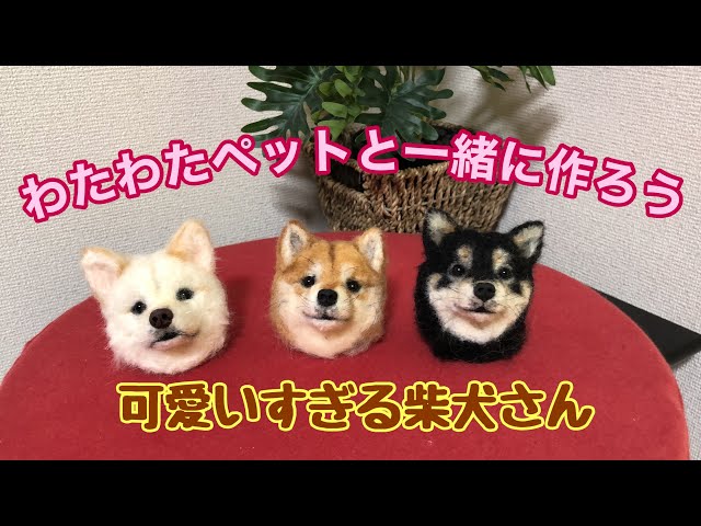 Let's make it together! A cute and realistic Shiba Inu made of