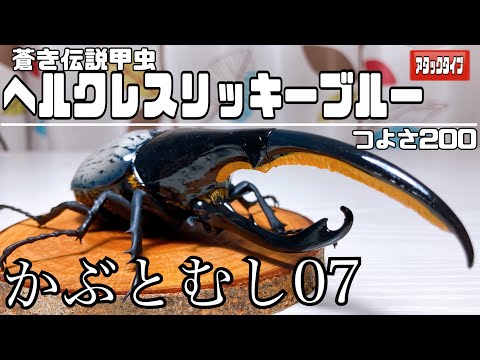いきもの大図鑑】500円でpremiumのクオリティヘラクレスオオカブト