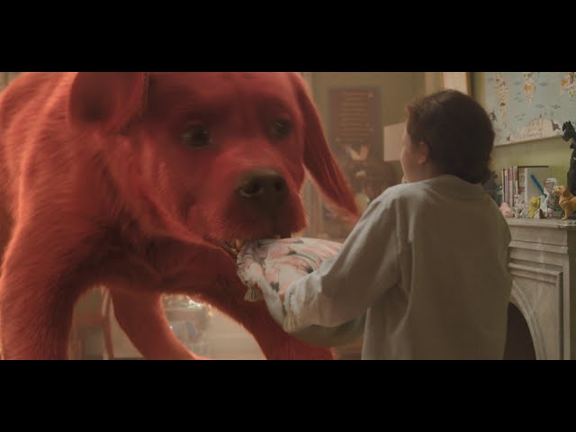 映画「でっかくなっちゃった赤い子犬 僕はクリフォード」公開決定 子犬