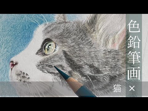 イラスト【色鉛筆画】リアルに挑戦！ 猫ちゃんを描いてみました