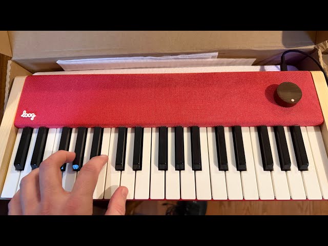 Loog ピアノ LGPIAR 赤 32鍵 Loog ピアノ LGPIAR 赤 32鍵 Loog Piano