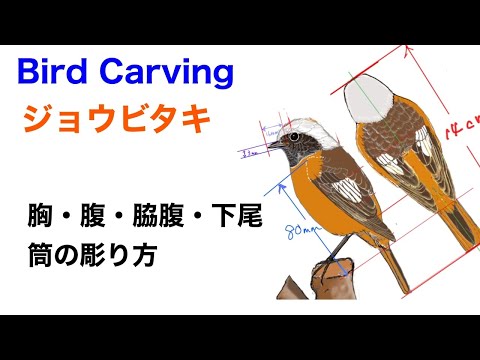 バードカービング（Birdcarving）ジョウビタキ4 （胸・腹・脇腹・下尾