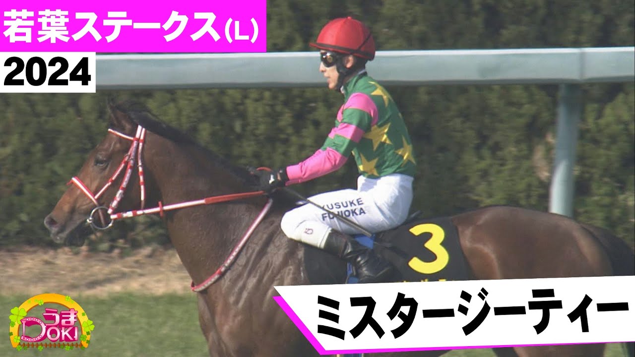 2024年 皐月賞トライアル 若葉ステークス（L） ミスタージーティー