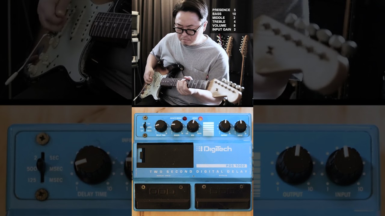 DigiTech PDS1002 Delay #johnfrusciante #redhotchilipeppers