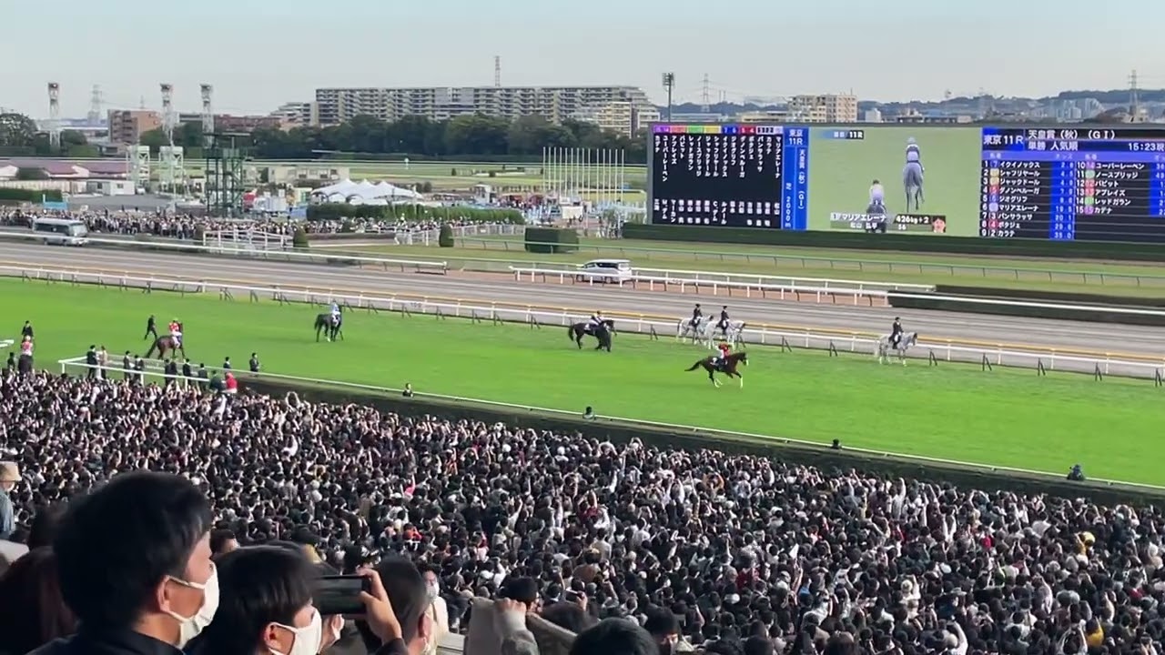 2002年 天皇賞（春）（GⅠ） | マンハッタンカフェ | JRA公式 - YouTube