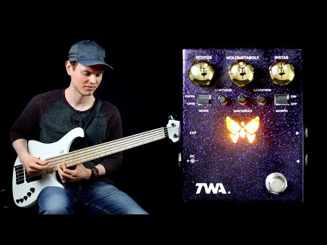 TWA Dynamorph (Envelope Controlled Harmonic Generator) // Bass