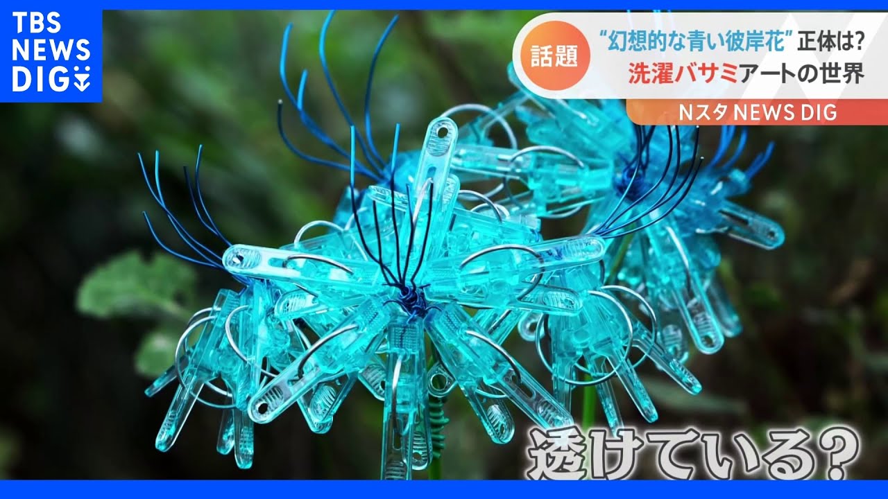 魅惑の“青いヒガンバナ”が現実に！「物語に出てきそう」な姿の秘密は