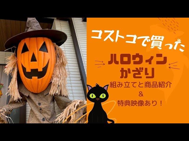 コストコでハロウィンの飾り買ってみた｜組立＆紹介｜ジャック・オー