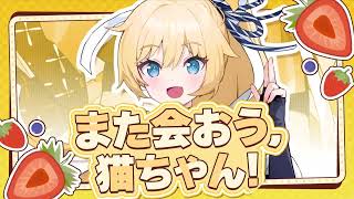 Ninja Defenders : Cat Shinobi] 🎵MV - See ya, Nekko! (Main OST