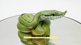 動物の惑星】バロンコダマヘビ フィギュア - 昆虫採集・昆虫標本用品