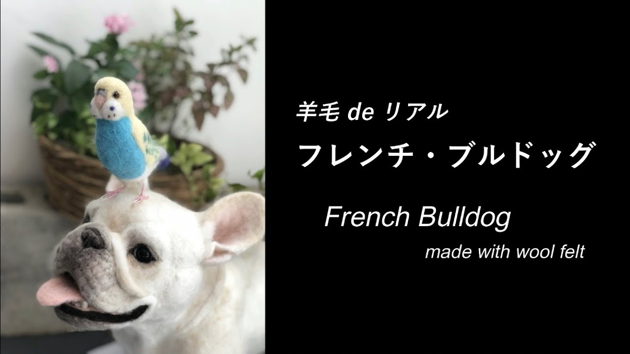 羊毛 de リアル】フレンチ・ブルドッグ🐶 - YouTube