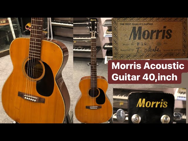 Morris Acoustic Guitar Model No F-10 Made in Japan ( Wilson's