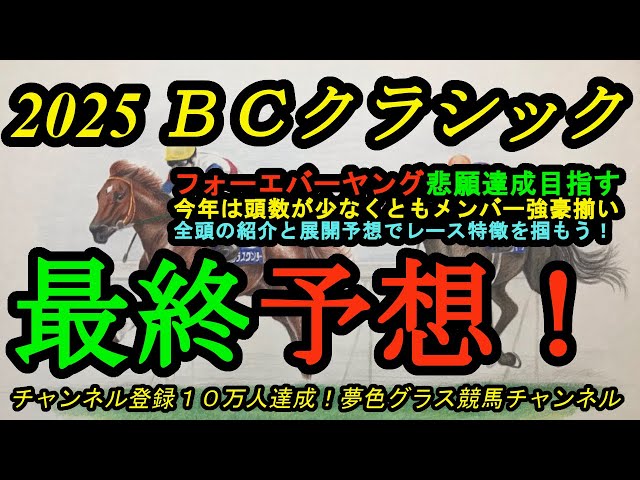 最終予想】2025ブリーダーズカップクラシック！フォーエバーヤング今年