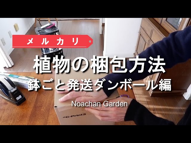 メルカリ【植物の梱包方法】【鉢ごと発送】ダンボール編 - YouTube