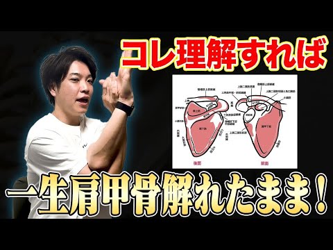 Stiff shoulders] With proper knowledge of the shoulder blades