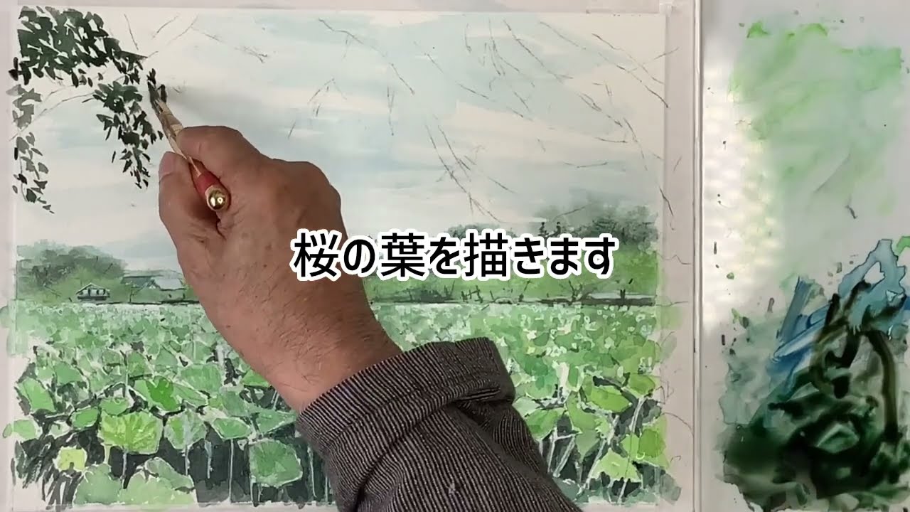 透明水彩で描く】高田城址公園の蓮池をを描く 2023年8月3日 - YouTube
