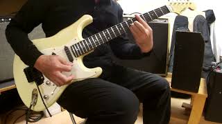 90年代前半製Fernandes／P-Project PAW-4 和田アキラモデル Clean