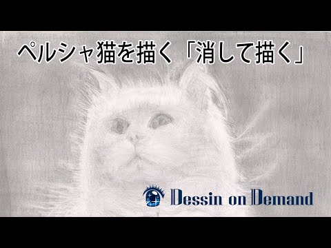 ペルシャ猫のデッサン [練り消し・消しゴムで描くデッサン] デッサン