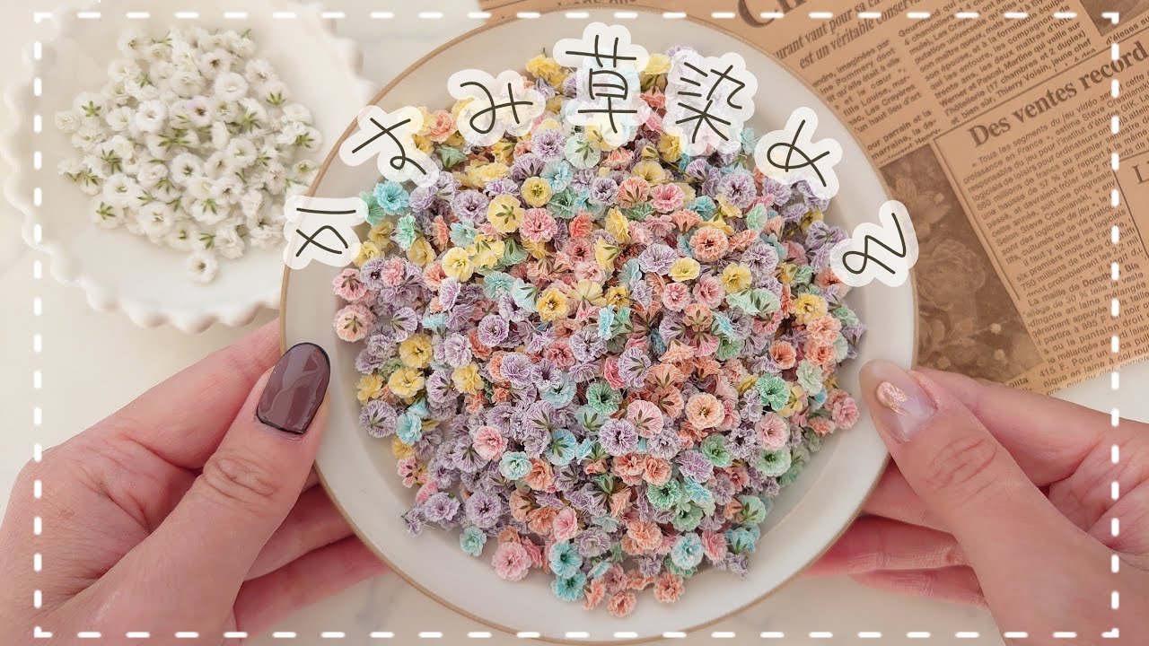 作業動画】レジン封入用のかすみ草を染めてドライフラワーを作る