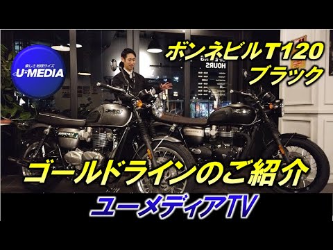 The Bonneville T120 and the black Gold Line have arrived, so