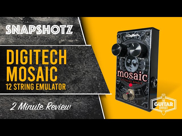 Digitech Mosaic Snapshot. Two minutes of 12 string goodness