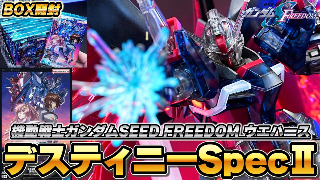 劇場版公開記念パッケージ HGCE1/144デスティニーガンダムSpec II