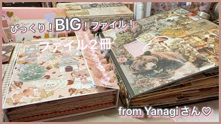 素敵便紹介］from やなぎさん♪|初めてのおすそ分けファイル|びっく