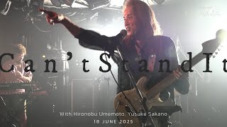 G2D Custom Overdrive レビュー｜100台以上試して辿り着いた究極の歪み