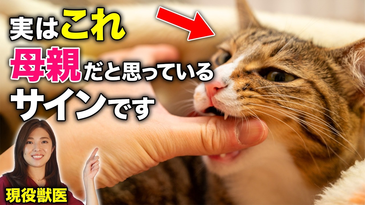 空中を散歩するビー玉】No.15ヴィア&ヴィアJ - YouTube