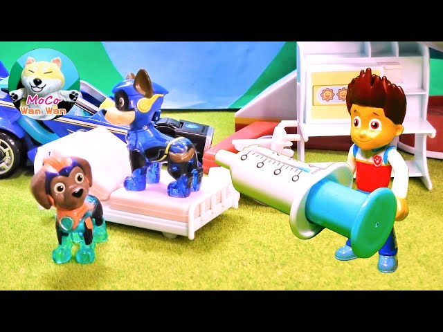 PAW Patrol (#1901) Kent injects Chase with an injection! Zuma