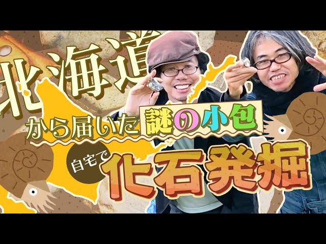 化石発掘！北海道中川町の石！割ってみたらなんと！？ - YouTube