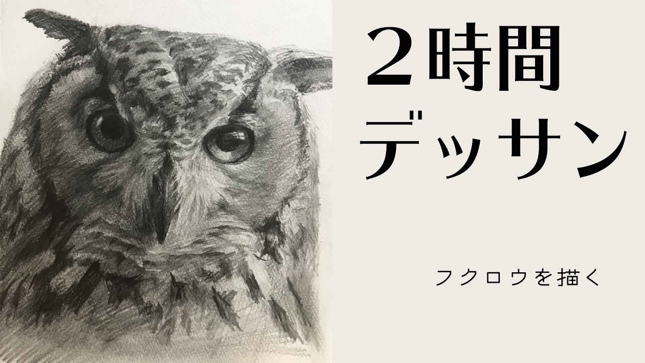 45【ライブドローイング】フクロウを描く Pencil drawing in 2hour