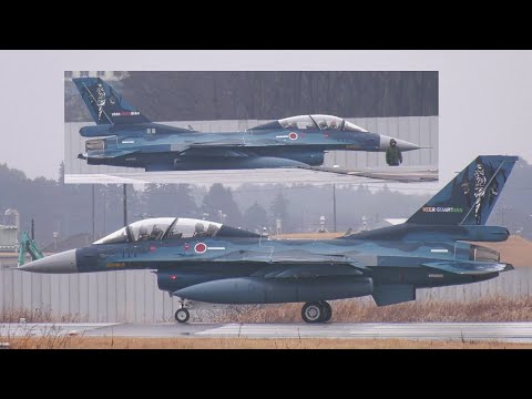 航空自衛隊百里基地 インド空軍共同訓練 ヴィーア・ガーディアン23特別