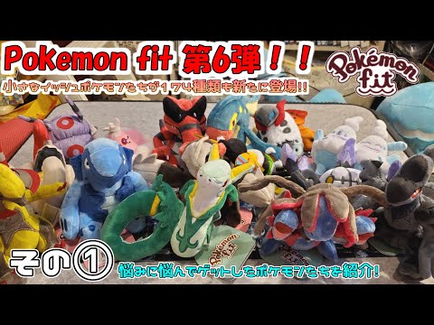 ポケモンセンター】Pokemon fit 第6弾発売！！174種類のイッシュ