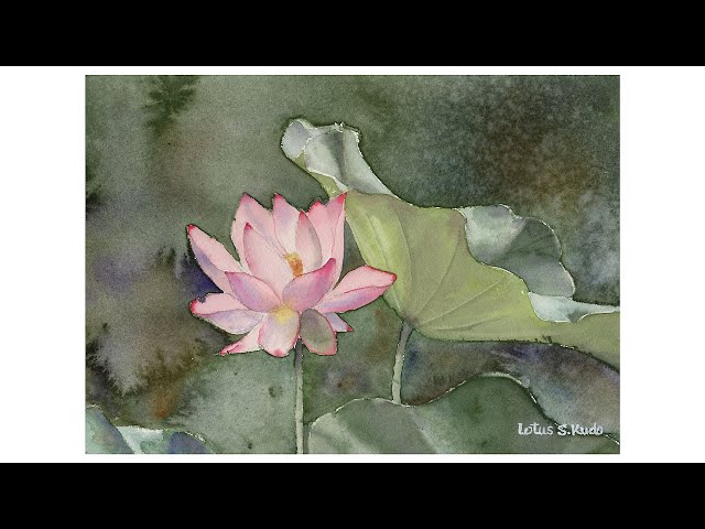Lotus No.2 / 蓮の花2 - YouTube