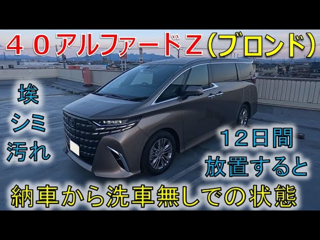 ☆The unexpected features of Precious Leo Blonde! ☆The exclusive