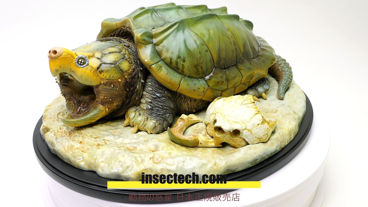 動物の惑星】「写実シリーズ」ワニガメPLUS超特大Macrochelys