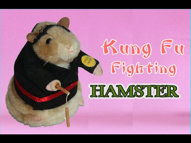 Dancing and Singing Hamster - Kung Fu Fighting Hamster Toy - YouTube