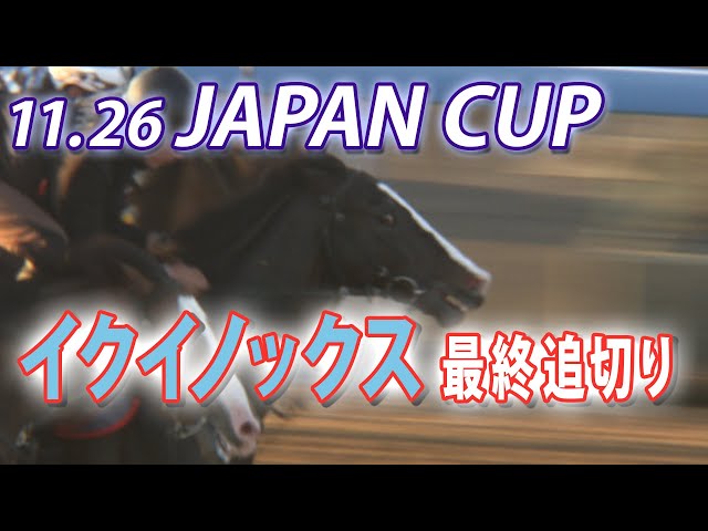 11.26ジャパンカップ特集】イクイノックス 最終追い切り - YouTube