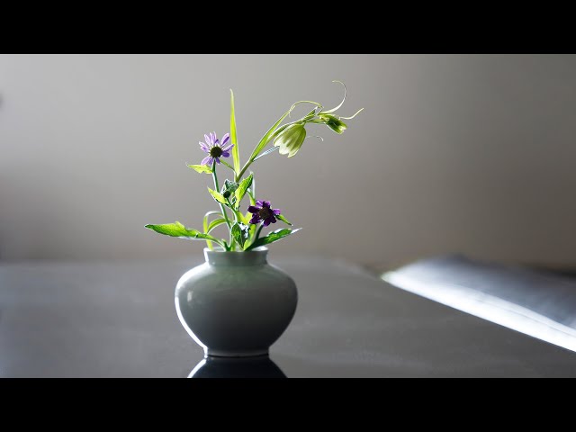 李朝白磁小壺 / White Porcelain Small Jar - YouTube