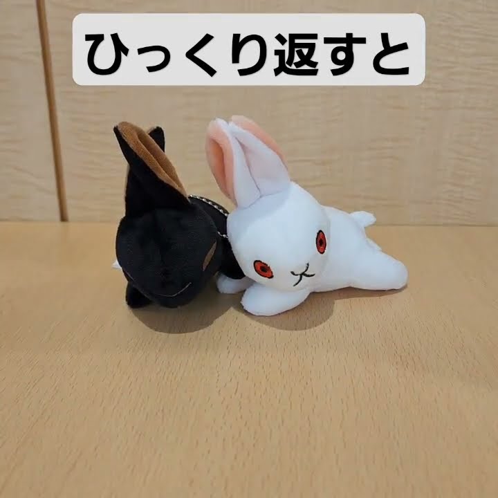 日本ミュージアムグッズ史上の画期?!【襖ぬいぐるみ開封】大覚寺展