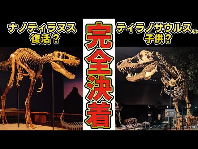 🔴 The Nanotyrannus Controversy Finally Ends! The Truth About