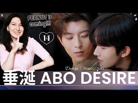 垂涎 ABO Desire | Episode 14🍂Reaction (CUT) Eliot Huang; Kipuka