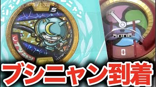 Prize] Bushinyan (Legend Medal) has arrived! Open it and SHOWKAN