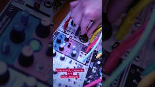 Knobula Poly Cinematic [Dark Mode] - Eurorack Module on ModularGrid