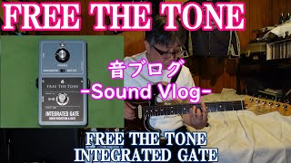 175 【FREE THE TONE】音ブログ35 INTEGRATED GATE (IG-1N) - YouTube