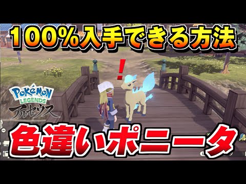 レジェンズアルセウス】色違いポニータが確定で手に入る方法