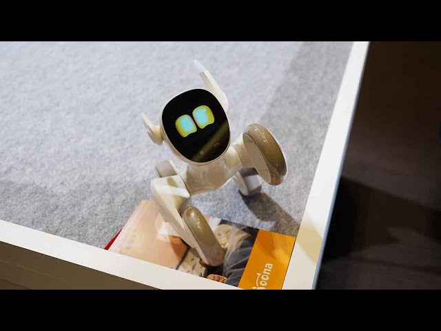 Ankerからペットロボット。「Loona Blue」 - YouTube