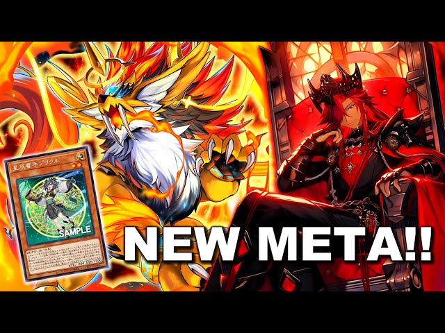 THE NEW ERA OF BRANDED!!! BRANDED DRACOTAIL POST DOOM OF